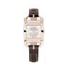 Montre Pequignet Equus